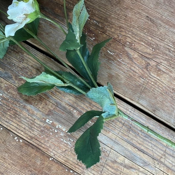 Anthropologie Terrain Faux Dogwood Stem - Picture 4 of 5